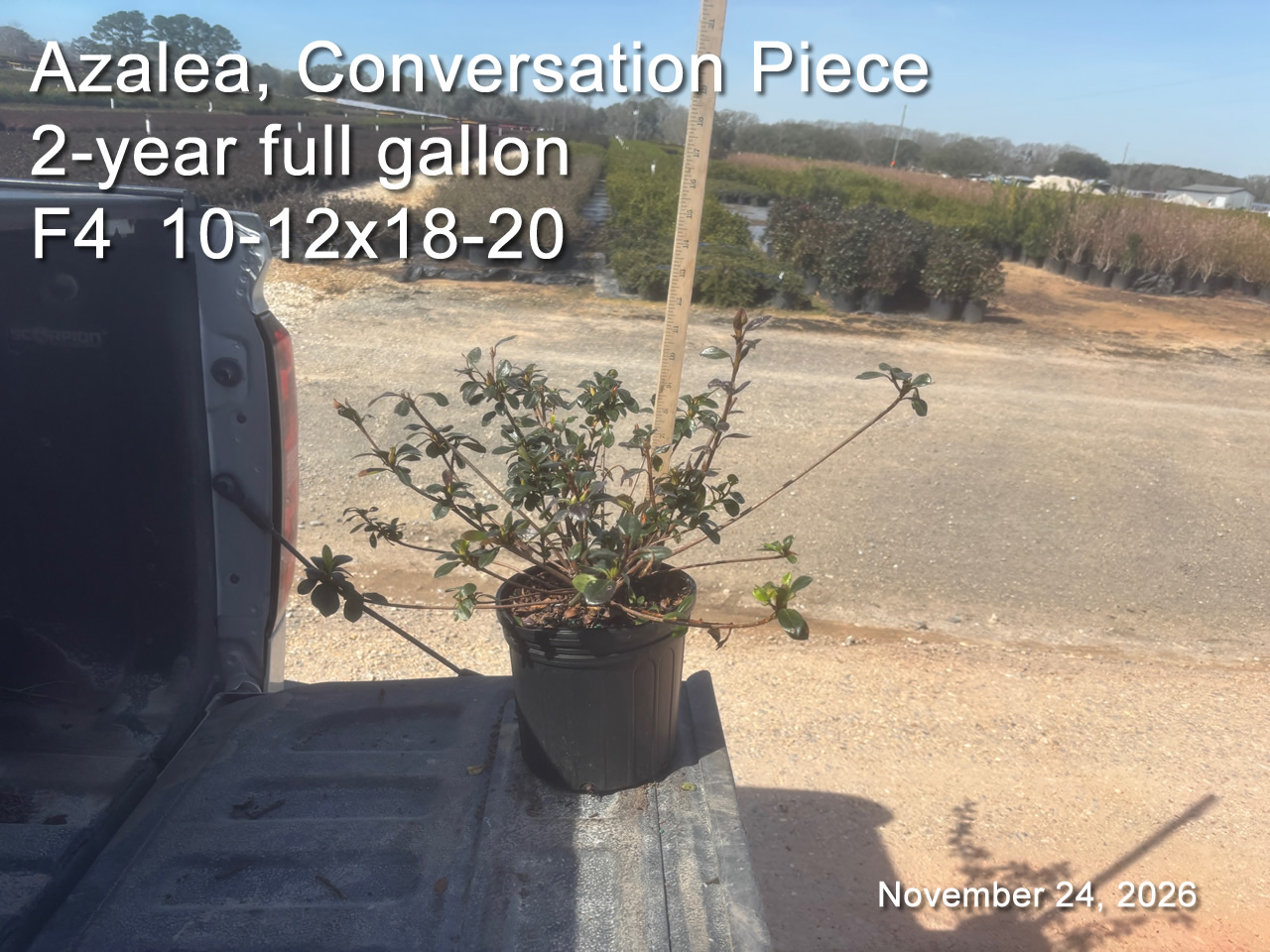 gallery/cp2yf f4 feb24.jpg